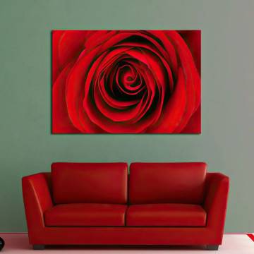 Canvas print Rose, Heart of red rose