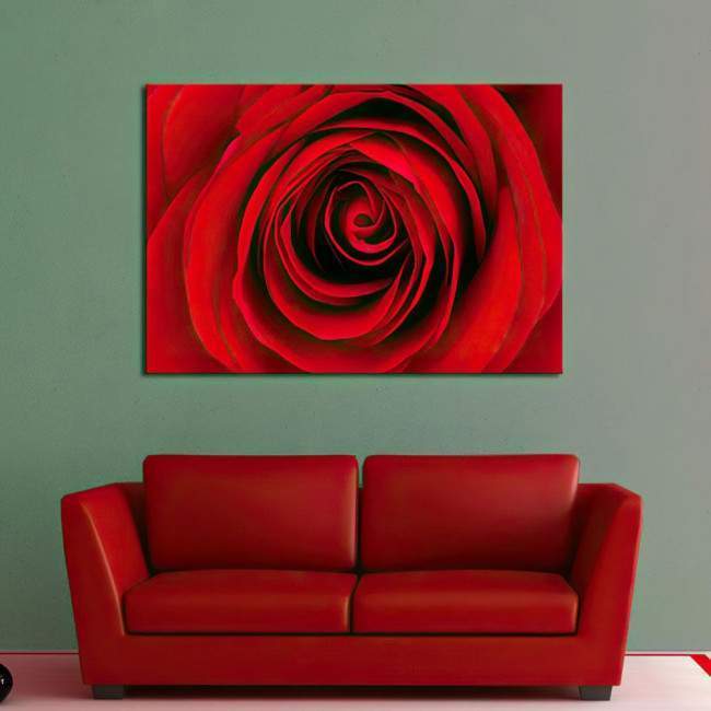 Πίνακας σε καμβά Τριαντάφυλλο, Heart of red rose
