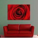 Canvas print Rose, Heart of red rose