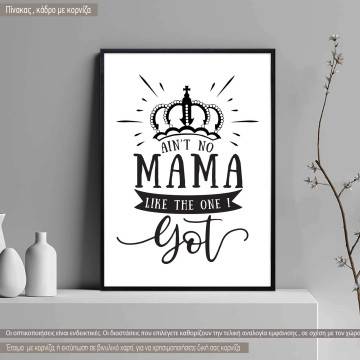 Poster No mama like the one i got