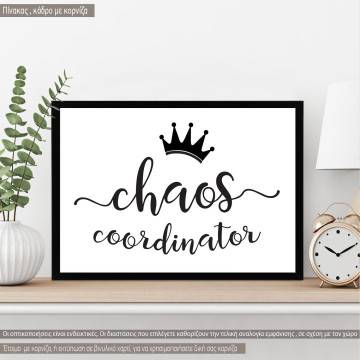 Poster Chaos coordinator
