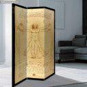 Room divider The Vitruvian man