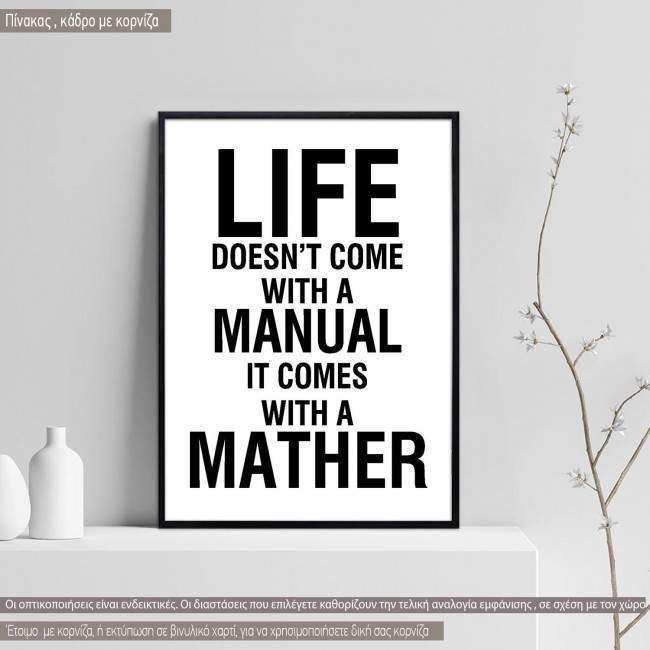 Poster Life doesn't come with a manual it comes with a mather