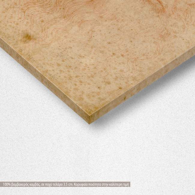 Canvas print  Portrait of a man in red chalk, Leonardo da Vinci, reproduction