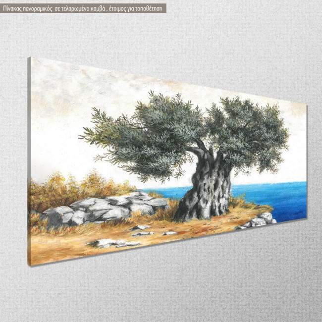 Πανοραμικός πίνακας σε καμβά, Ελιά στη θάλασσα panoramic, πανοραμικός, κοντινό