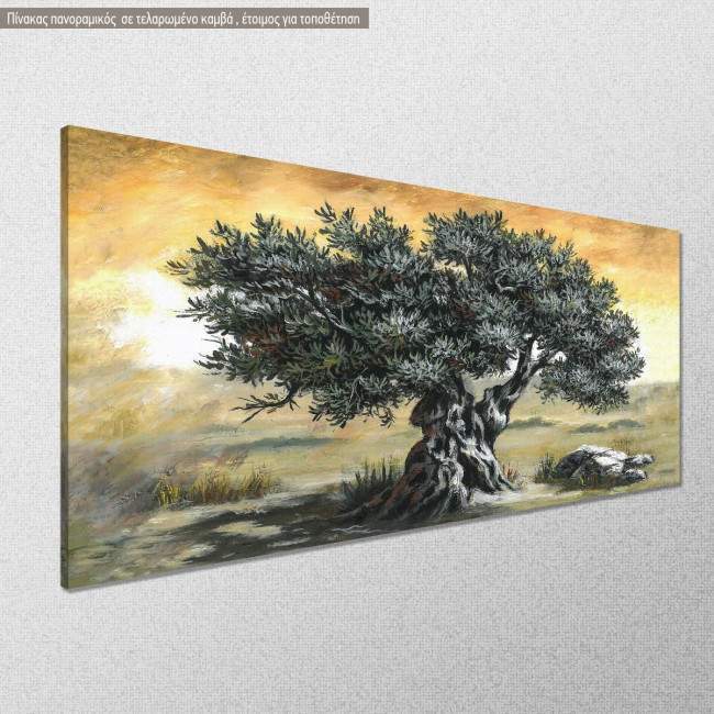 Canvas print Olive tree panoramic, side