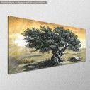 Canvas print Olive tree panoramic, side