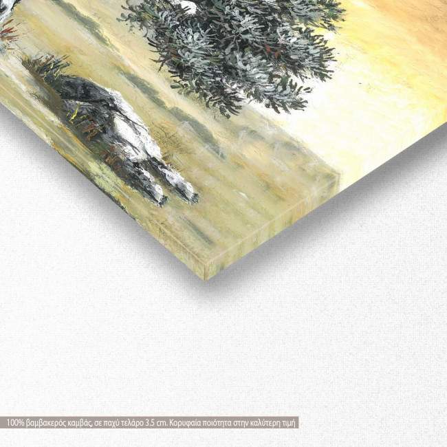 Canvas print Olive tree panoramic, detail