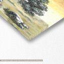 Canvas print Olive tree panoramic, detail