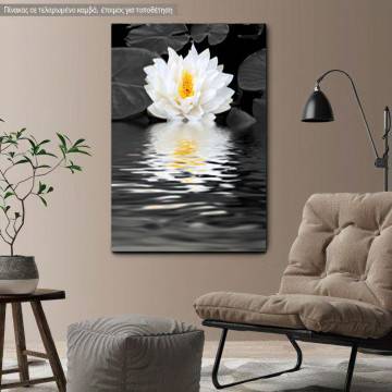 Πίνακας σε καμβά Κρίνος, White lily beauty