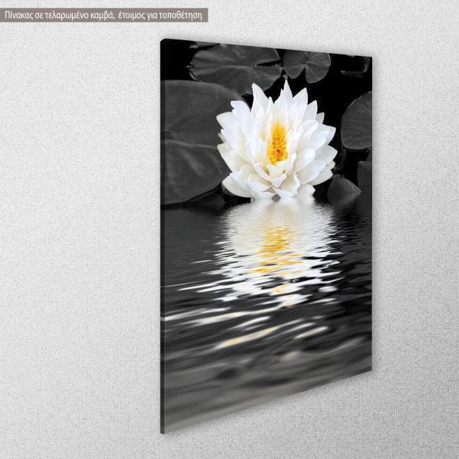 Canvas print White lily beauty, side
