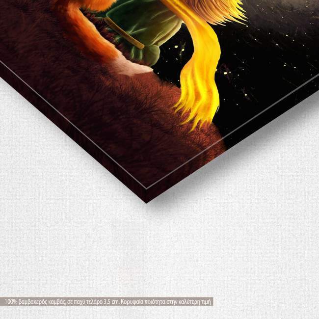 Kids canvas print Little prince and the universe, detail