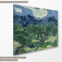Canvas print Olive trees by V. van Gogh
