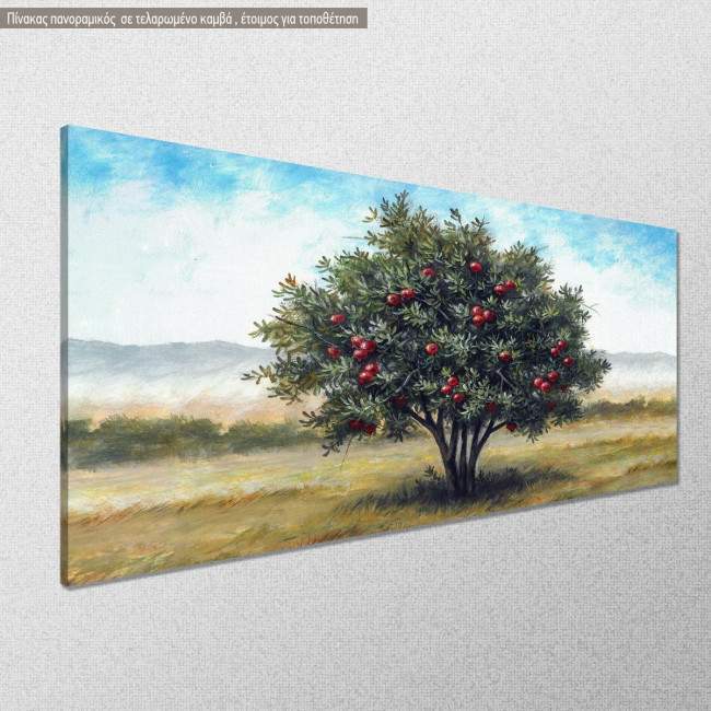 Canvas print Pomegranate, panoramic, side