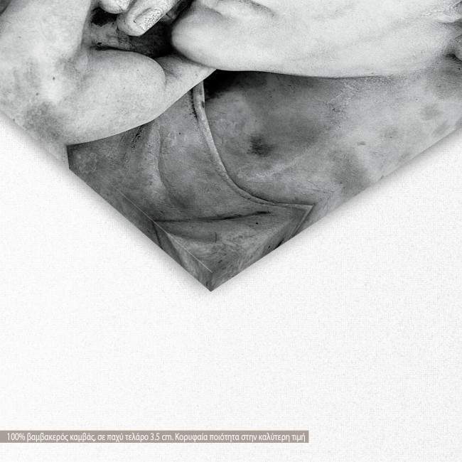 Canvas print Angel face, detail