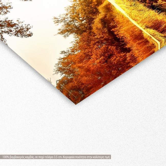 Canvas printRiver in a autumn forest, detail