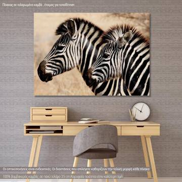 Πίνακας σε καμβά Zebras