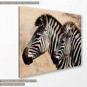 Canvas print Zebras, side
