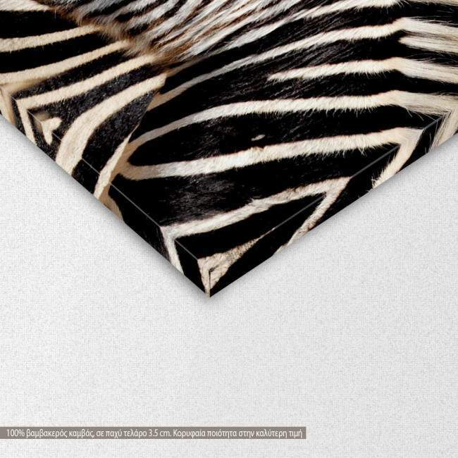 Canvas print Zebras, detail