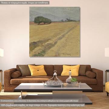 Canvas print  Field with wheat, Litras