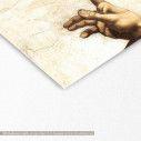 Canvas print  The creation of Adam, Michalangelo, detail