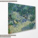 Πίνακας ζωγραφικής  Olive orchard, van Gogh V, αντίγραφο σε καμβά, κοντινό