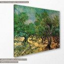 Canvas print  Olive grove, van Gogh V