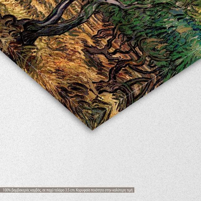 Πίνακας ζωγραφικής  Olive grove, van Gogh V, αντίγραφο σε καμβά, λεπτομέρεια