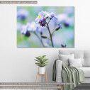 Canvas print Wildflowers