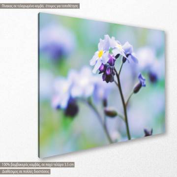 Canvas print Wildflowers 2