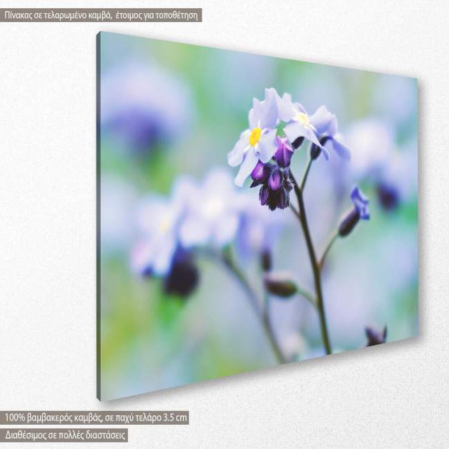 Canvas print Wildflowers, side