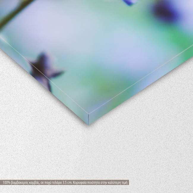 Canvas print Wildflowers, detail