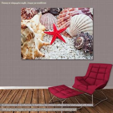 Canvas print, Red starfish and shells