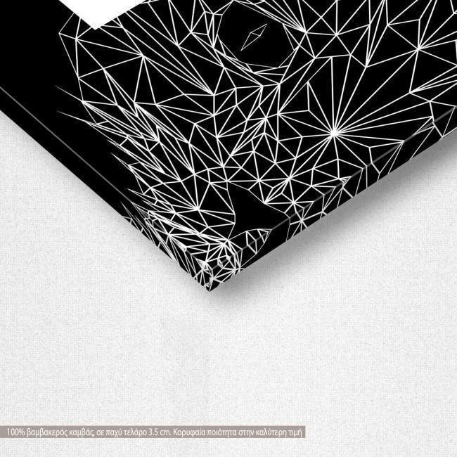 Canvas print Cat, detail