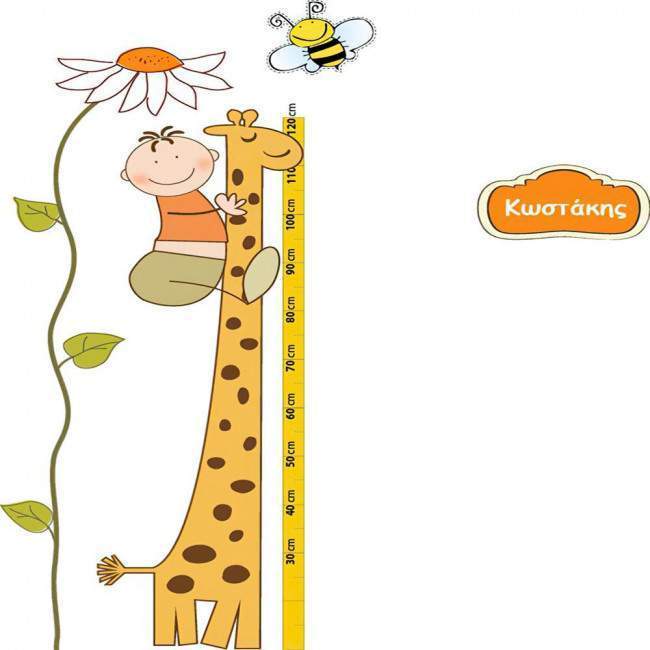 Wall stickers height measure, Giraffe, boy