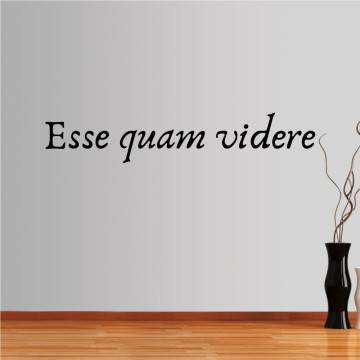 Wall stickers phrases. Esse quam videre