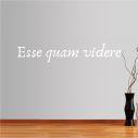 Wall stickers phrases. Esse quam videre