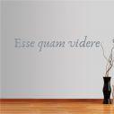 Wall stickers phrases. Esse quam videre
