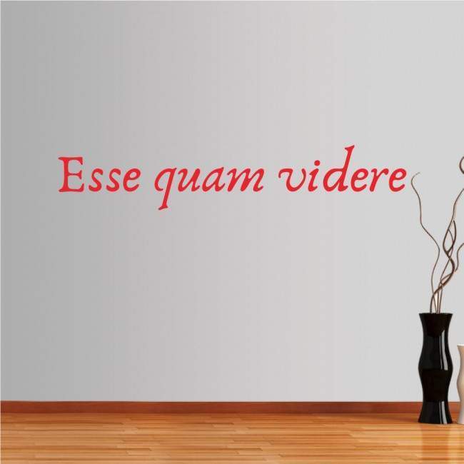 Wall stickers phrases. Esse quam videre