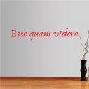 Wall stickers phrases. Esse quam videre