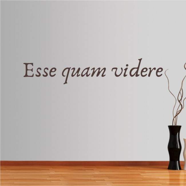 Wall stickers phrases. Esse quam videre