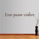 Wall stickers phrases. Esse quam videre
