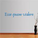 Wall stickers phrases. Esse quam videre