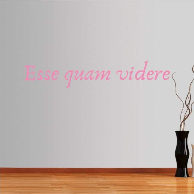 Wall stickers phrases. Esse quam videre