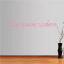 Wall stickers phrases. Esse quam videre