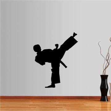 Wall stickers Martial arts, high kick