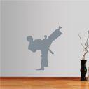 Wall stickers Martial arts, high kick
