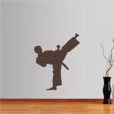 Wall stickers Martial arts, high kick