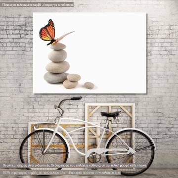 Canvas print Rocks and butterfly I