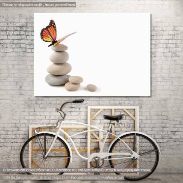 Canvas print Rocks and butterfly I